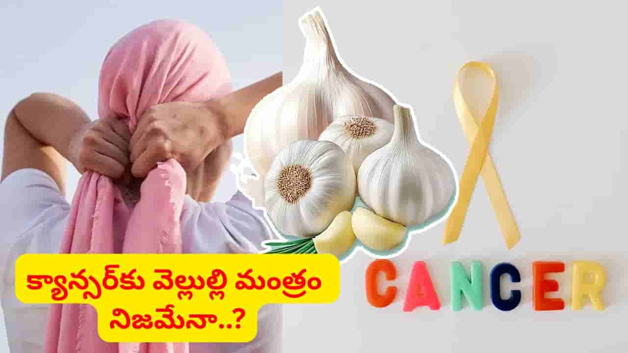 వెల్లుల్లి నిజంగానే క్యాన్సర్ ప్రమాదాన్ని తగ్గిస్తుందా..? డాక్టర్ ఏమని చెప్పారంటే..