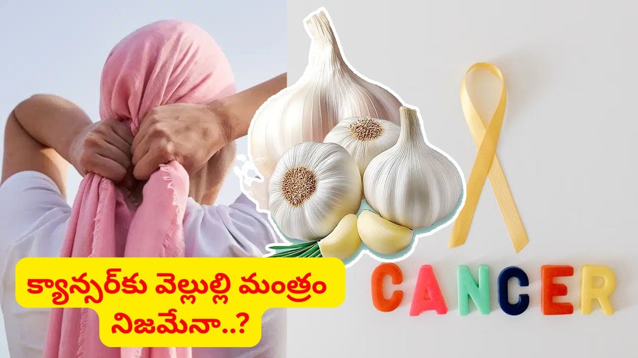 వెల్లుల్లి నిజంగానే క్యాన్సర్ ప్రమాదాన్ని తగ్గిస్తుందా..? డాక్టర్ ఏమని చెప్పారంటే..