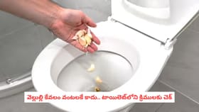 వెల్లుల్లి కేవలం వంటలకే కాదు.. టాయిలెట్‌లోని క్రిములకు చెక్