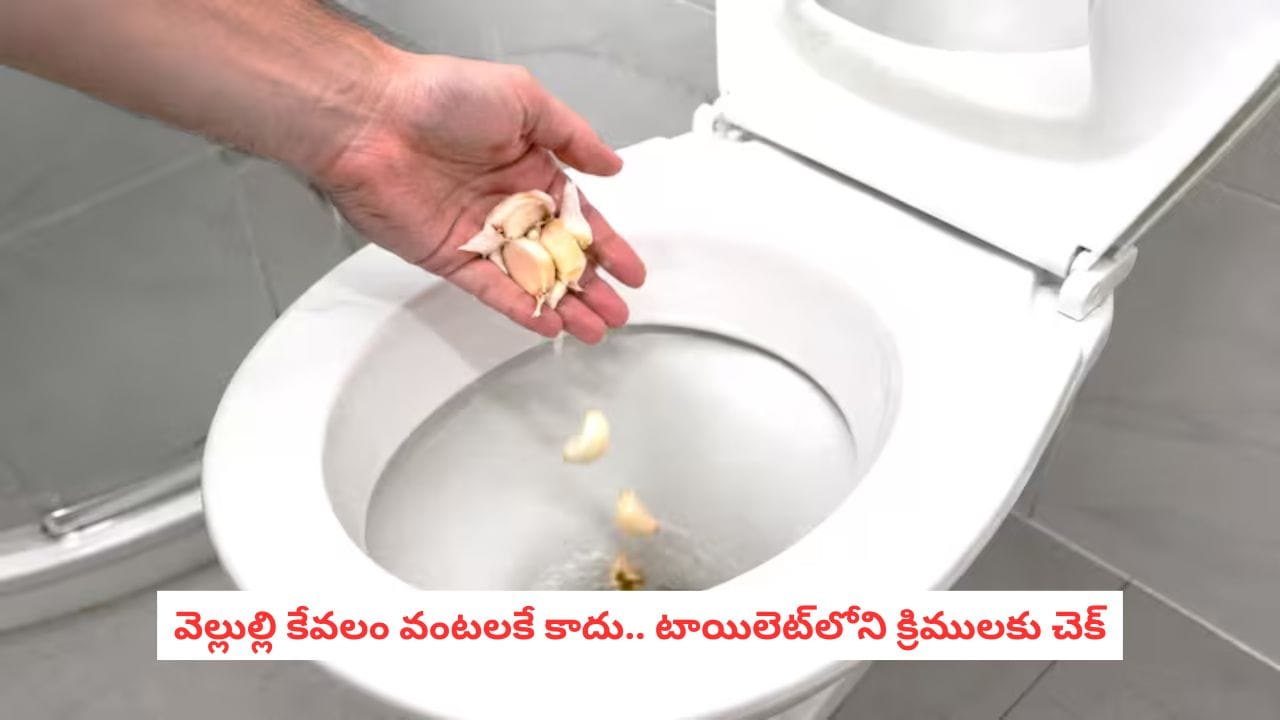 Cleaning Hacks: రాత్రి పడుకునే ముందు టాయిలెట్ బెడ్లో ఒక వెల్లుల్లి రెబ్బ వేస్తే ఏమవుతుందో తెలుసా?