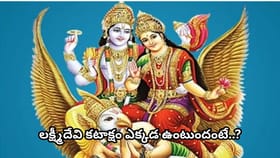 ఈ 4 చెడు అలవాట్లు లక్ష్మీదేవిని ఇంటి నుంచి దూరం చేస్తాయా? గరుడ..