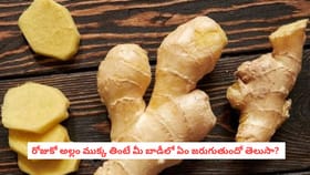 రోజుకో అల్లం ముక్క తింటే మీ బాడీలో ఏం జరుగుతుందో తెలుసా?