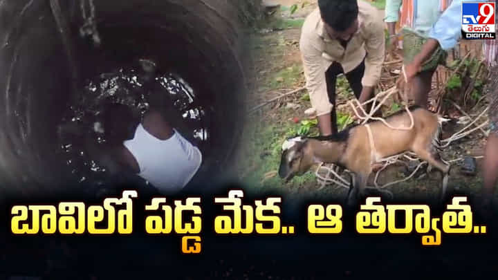 బావిలో పడ్డ మేక.. ఆ తర్వాత.. బావిలో పడ్డ మేక.. ఆ తర్వాత..