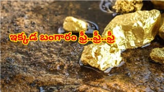 ఈ నాలుగు ప్రదేశాలలో మీకు కావలసినంత బంగారం ఉచితంగా లభిస్తుంది..! రెండు మన భారతదేశంలోనే..?
