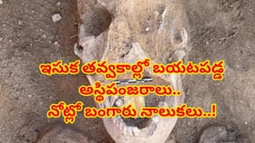 ఇసుక తవ్వుతుంటే దొరికిన ప్రాచీన నగరం..మృతుల నోట్లో బంగారు నాలుకలు