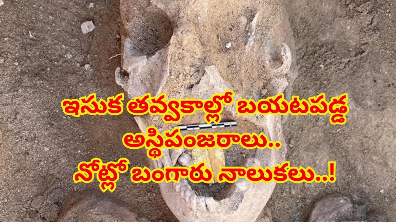 ఇసుక తవ్వుతుంటే బయటపడ్డ నగరం.. మృతుల నోట్లో బంగారు నాలుకలు!