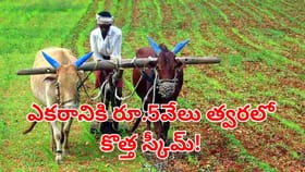 గుడ్‌న్యూస్.. ఆ పంటలు వేసే రైతులకు ఎకరానికి రూ.5వేలు