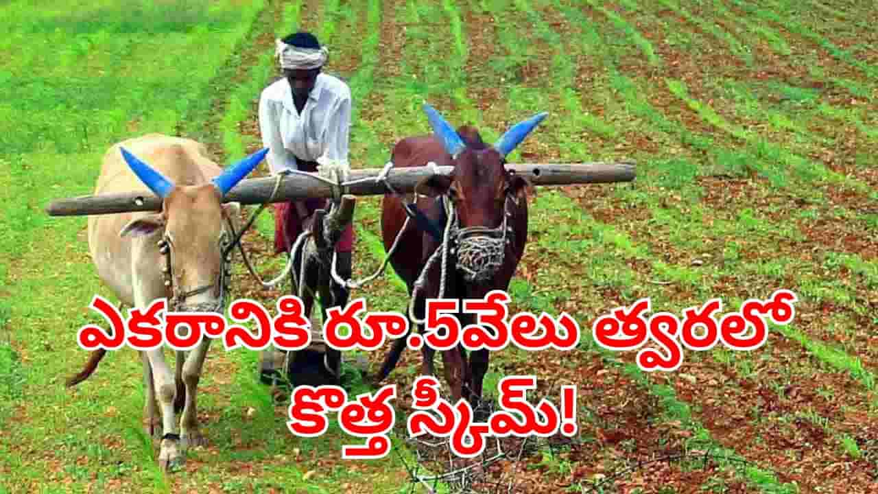 Telangana: రైతన్నలకు సూపర్ గుడ్న్యూస్.. ఆ పంటలు వేస్తే.. ఎకరానికి రూ.5వేల ప్రోత్సాహకం!