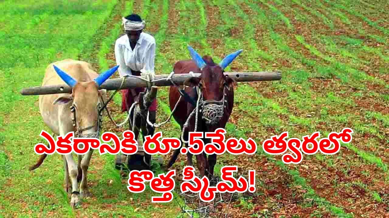 Telangana: రైతన్నలకు సూపర్ గుడ్న్యూస్.. ఆ పంటలు వేస్తే.. ఎకరానికి రూ.5వేల ప్రోత్సాహకం!
