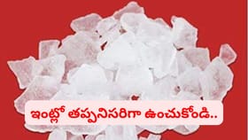 వర్షాకాలం పచ్చ కర్పూరం ఉపయోగాలు తెలిస్తే ఆశ్చర్యపోతారు..