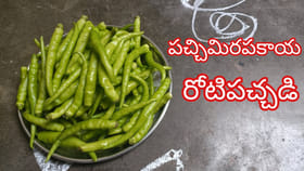 పచ్చి మిరపకాయ రోటి పచ్చడి ఇలా చేస్తే ఎంత కమ్మగుంటదో...