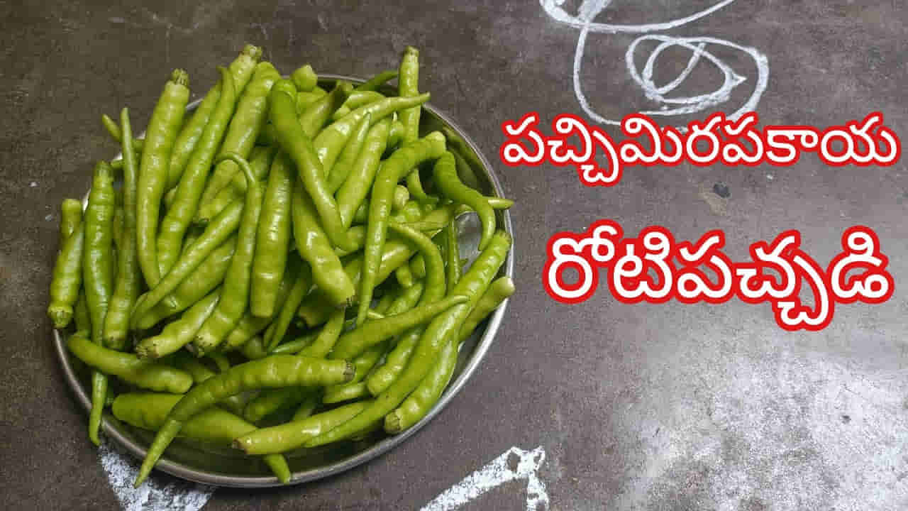 తిన్న కొద్దీ తినాలనిపించే పచ్చి మిరపకాయ రోటి పచ్చడి..