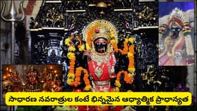 గుప్త నవరాత్రులు.. పది మహావిద్యలు ఎవరు? ఏ దేవిని పూజిస్తే ఎలాంటి