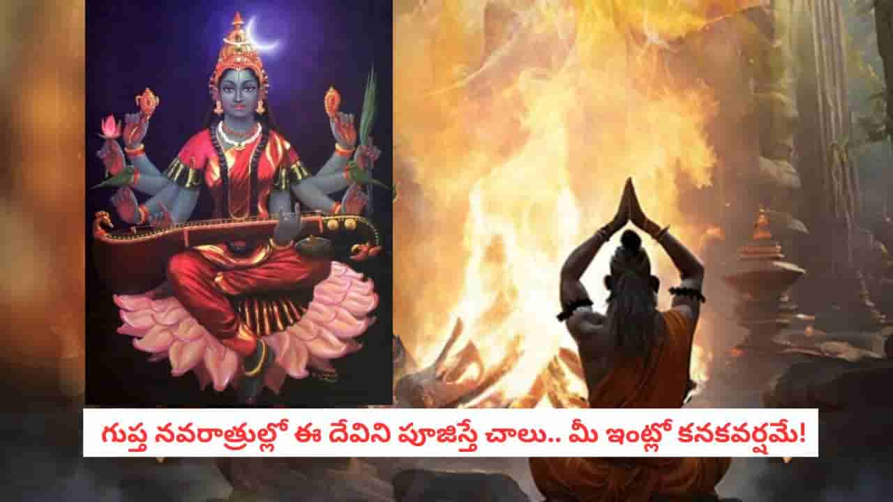 Gupta Navratri: ఎవరికీ తెలియకుండా చేసే గుప్త నవరాత్రులు.. ఈ దేవిని పూజిస్తే మీ ఇంట్లో కనకవర్షం కురవడం ఖాయం!