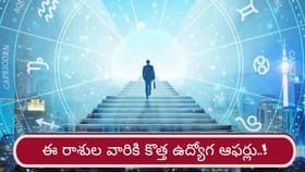 Career Astrology: ఈ రాశుల వారికి కొత్త ఉద్యోగ ఆఫర్లు పక్కా..!