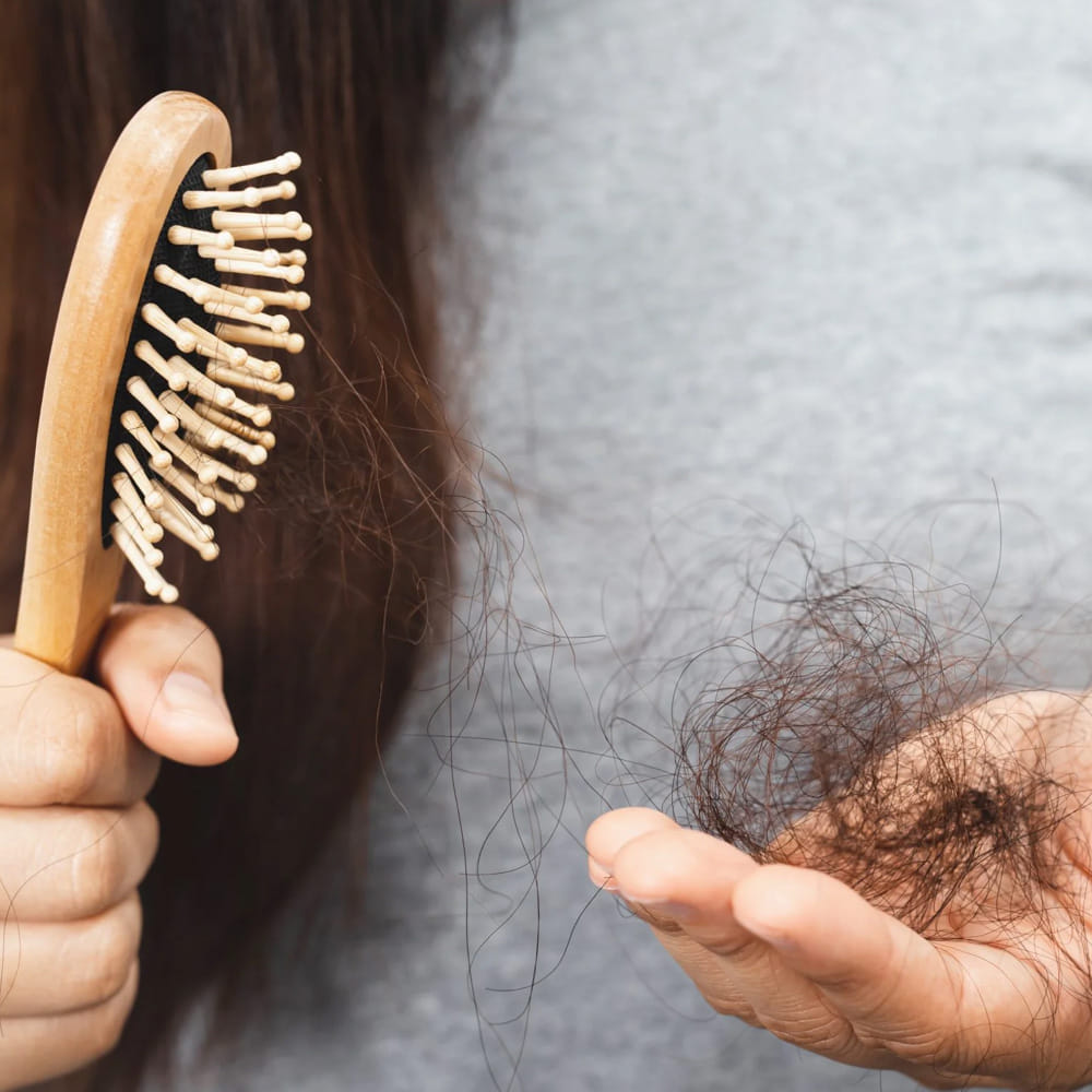 Hair Care (1)