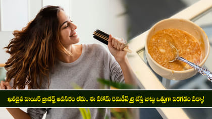 జుట్టు ఒత్తుగా, పట్టులా మెరవాలా? ఈ హోమ్ రెమెడీస్ ట్రై చేయండి