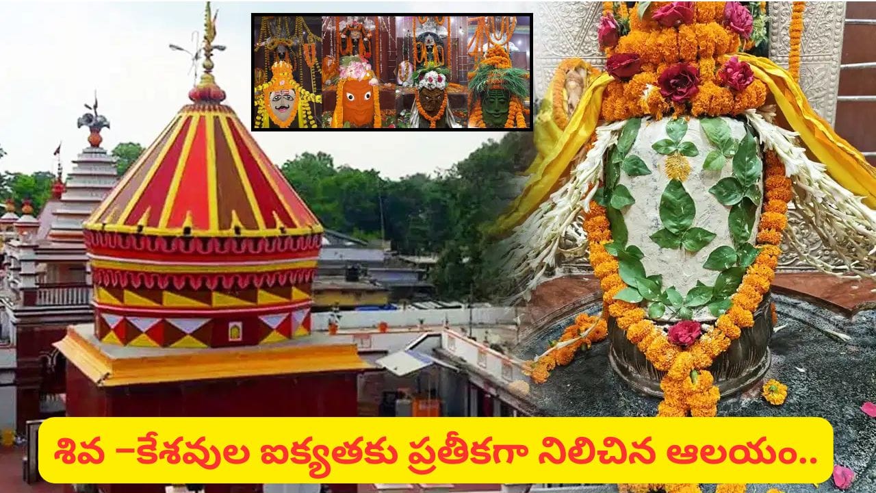 ప్రపంచంలోని ఏకైక ఆలయం.. ఒకే శివలింగంలో శివుడు-విష్ణుమూర్తి కొలువై ఉన్న ఈ క్షేత్రం ఎక్కడుందో తెలుసా?