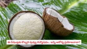 ఈ పేషెంట్లకు కొబ్బరి పువ్వు దివ్యౌషధం.. ఇన్ని ఆరోగ్య ప్రయోజనాలా?