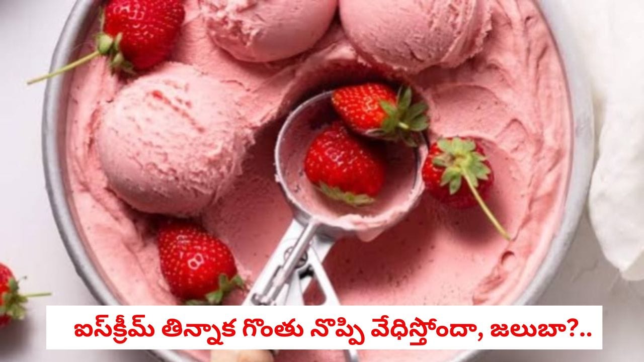 Ice Cream Tips : చల్లటి వెదర్లో ఐస్‌క్రీమ్ తింటున్నారా?.. జలుబు, గొంతు ఇన్ఫెక్షన్లు రాకుండా తీసుకోవాల్సిన జాగ్రత్తలు ఇవే!