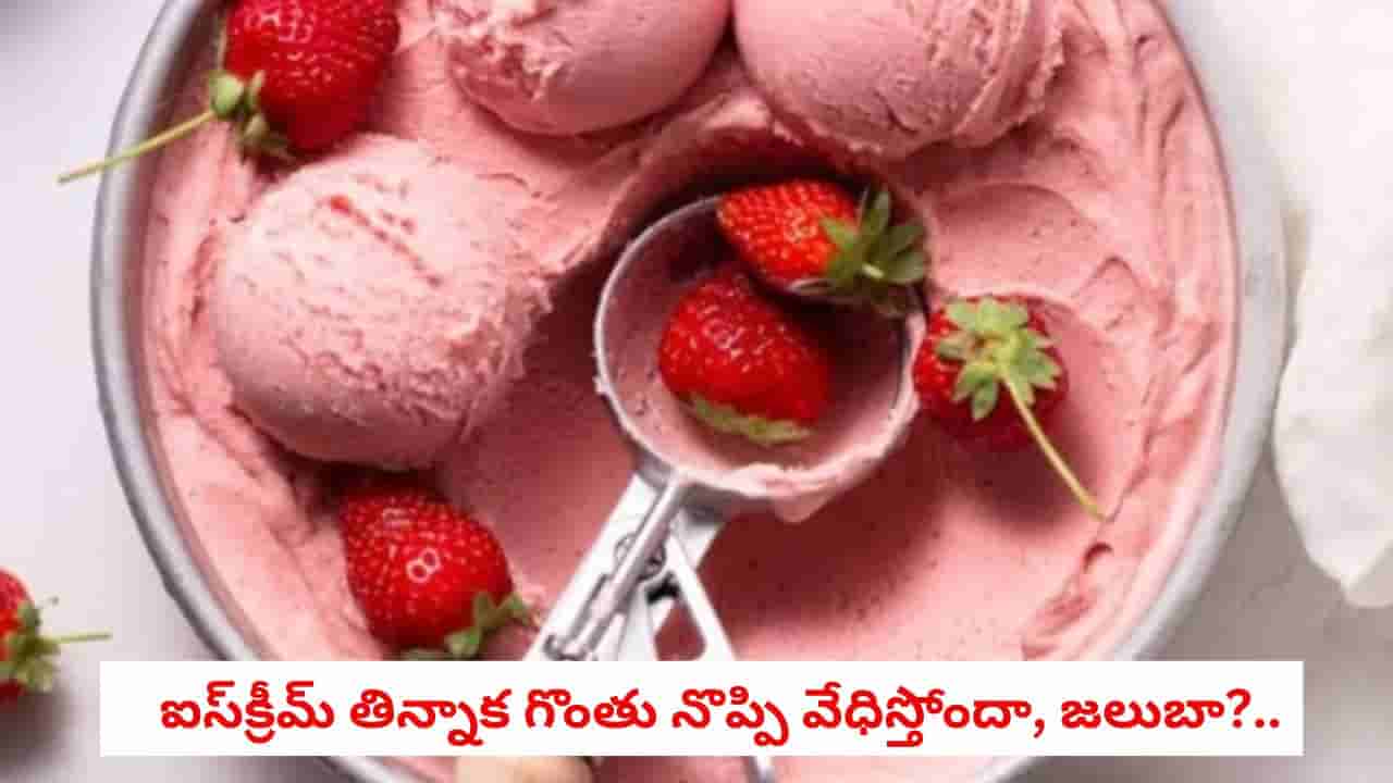 Ice Cream Tips : చల్లటి వెదర్లో ఐస్క్రీమ్ తింటున్నారా?.. జలుబు, గొంతు ఇన్ఫెక్షన్లు రాకుండా తీసుకోవాల్సిన జాగ్రత్తలు ఇవే!