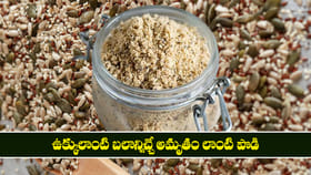 ఉక్కులాంటి బలాన్నిచ్చే అమృతం లాంటి పొడి
