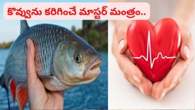 కొలెస్ట్రాల్‌ను కంట్రోల్ చేసి గుండెను కాపాడే మాస్టర్ మంత్రం..