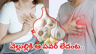 వెల్లుల్లికి అంత పవర్ లేదు.. గుండె జబ్బులకు ప్రధాన ప్రమాద కారకాలు వేరే ఉన్నాయట..