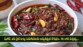 కనుమరుగవుతున్న ఆరోగ్యకరమైన పల్లెటూరి రోటి పచ్చళ్ళు..