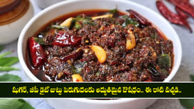 కనుమరుగవుతున్న ఆరోగ్యకరమైన పల్లెటూరి రోటి పచ్చళ్ళు..