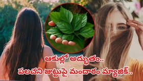 జుట్టు ఊడదు.. పైగా కుదుళ్లు బలంగా మారతాయ్.. పూర్వీకుల చిట్కా ఇదే