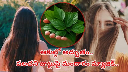 జుట్టు ఊడదు.. పైగా కుదుళ్లు బలంగా మారతాయ్.. పూర్వీకుల చిట్కా ఇదే