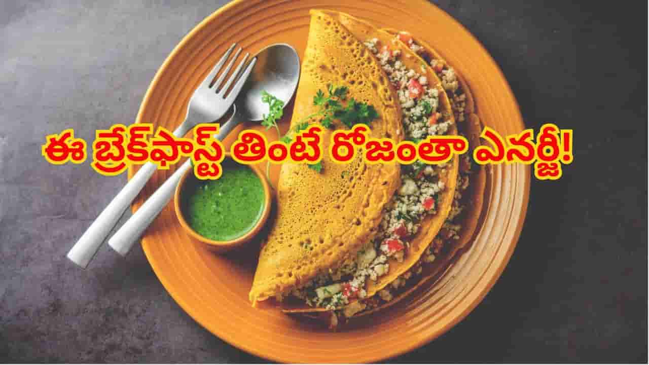 హైప్రోటీన్ ఇచ్చే బ్రేక్ఫాస్ట్ ఆప్షన్లు ఇవే... బరువు తగ్గించి, రోజంతా ఎనర్జీ ఇచ్చే ఈజీ రెసిపీస్!