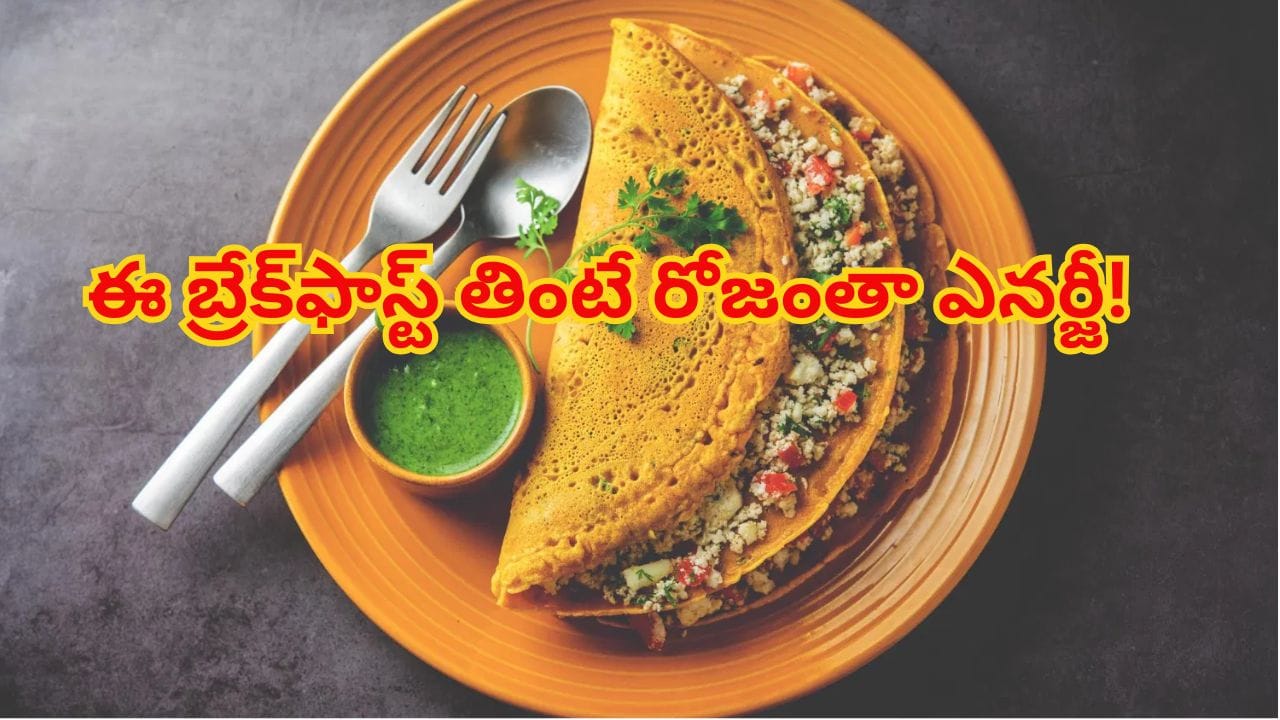 హైప్రోటీన్ ఇచ్చే బ్రేక్ఫాస్ట్ ఆప్షన్లు ఇవే... బరువు తగ్గించి, రోజంతా ఎనర్జీ ఇచ్చే ఈజీ రెసిపీస్!