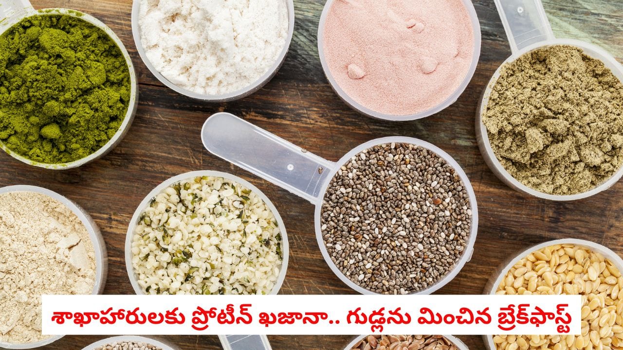 Veg Protein Power: ప్రోటీన్ కోసం కేవలం గుడ్లనే నమ్ముకుంటున్నారా?.. అంతకంటే ఎక్కువ బలాన్నిచ్చే వెజ్ బ్రేక్ఫాస్ట్స్ ఇవే!