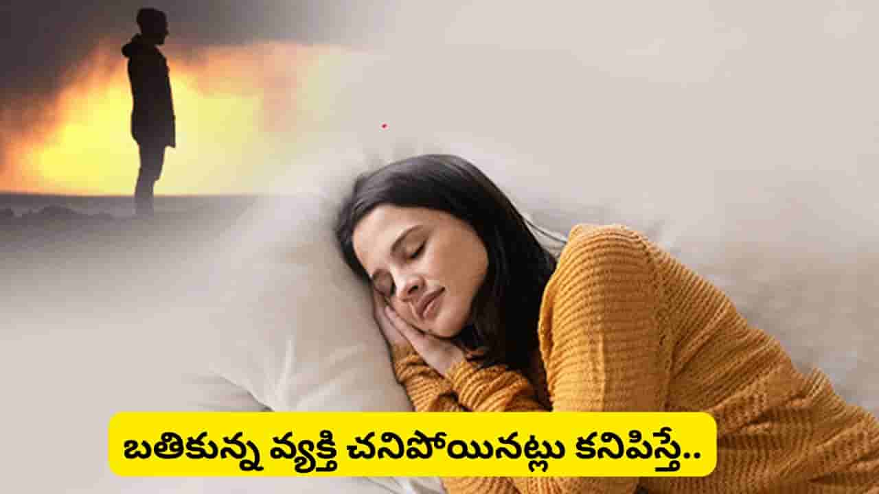 Dream Meaing: కలలో చనిపోయిన వారు కనిపిస్తే అర్థం ఏమిటి? స్వప్న శాస్త్రం చెప్పే శుభ, అశుభ సంకేతాలు ఇవే!