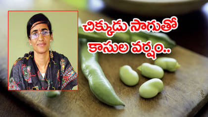 AP సైంటిస్ట్‌కు రూ.3.6 కోట్ల డెన్మార్క్ ఫెలోషిప్.. అరుదైన ఘనత