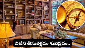 కొత్త ఇంటికి మారుతున్నారా? పాత ఇంటి నుంచి ఈ 4 వస్తువులను అస్సలు..