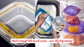 టిఫిన్ బాక్సుల్లో చేరే డేంజర్ బూజు... ఇలా చేస్తే కొత్త మెరుపు