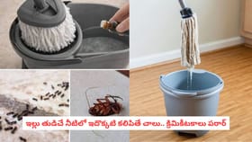 ఇల్లు తుడిచే నీటిలో ఇదొక్కటి కలిపితే చాలు.. క్రిమికీటకాలు పరార్