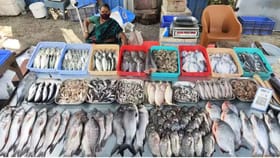 తాజా చేపలను గుర్తించడం ఇంత సింపులా.. ఇన్నాళ్లు తెలీదే