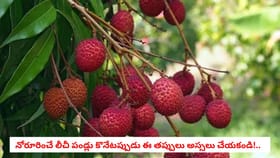 నోరూరించే లీచీ పండ్లు కొనేటప్పుడు ఈ తప్పులు అస్సలు చేయకండి!..