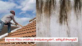 వర్షాలకు గోడలు నానిపోయి పాడవుతున్నాయా?.. ఇదొక్కటే సొల్యూషన్