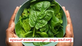 వర్షాకాలంలో పాలకూర తింటున్నారా?.. వైద్యుల షాకింగ్ రిపోర్ట్!