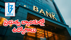 ప్రభుత్వ బ్యాంకుల్లో భారీగా కొలువులు.. డిగ్రీ అర్హతతో IBPS జాబ్స్