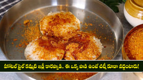 హోటల్ స్టైల్ కమ్మటి ఇడ్లీ కారప్పొడి..