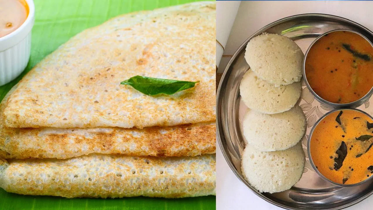 గ్లూటెన్ అలర్జీ లేదా సెలియాక్ వ్యాధి ఉన్నవారికి ఇడ్లీ, దోశలు ఒక అద్భుతమైన వరం. ఇవి సహజంగానే గ్లూటెన్ ఫ్రీ ఆహారాలు. బియ్యం, పప్పుల మిశ్రమంతో చేయడం వల్ల ఎలాంటి జీర్ణకోశ సమస్యలు రాకుండా హాయిగా వీటిని ఆస్వాదించవచ్చు. మీరు వీటిని ఇంట్లోనే స్వయంగా వండుకున్నా, లేదా సమయం లేనప్పుడు ఆన్లైన్ ఫుడ్ యాప్స్ ద్వారా ఆర్డర్ చేసి తెప్పించుకున్నా.. మితిమీరి తినకుండా, సరైన పరిమాణంలో తిన్నప్పుడే వీటి పూర్తి ఆరోగ్య ప్రయోజనాలను పొందగలరని నిపుణులు సూచిస్తున్నారు.