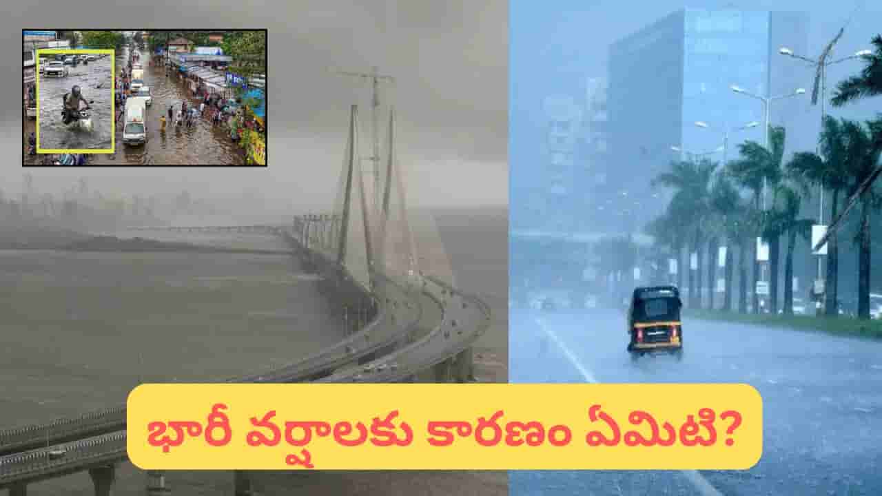 Monsoon Update: ఎల్నినో ఉన్నా వర్షాల జోరు.. ముంబై భారీ వర్షాలతో దేశానికి గుడ్ న్యూస్!
