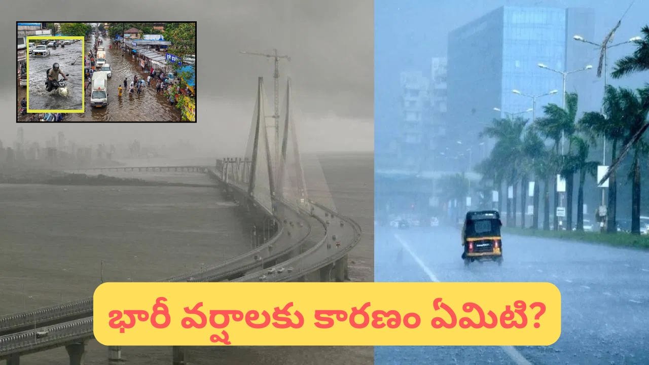 Monsoon Update: ఎల్నినో ఉన్నా వర్షాల జోరు.. ముంబై భారీ వర్షాలతో దేశానికి గుడ్ న్యూస్!