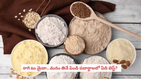 రాగి టు మైదా.. మనం తినే పిండి పదార్థాలలో ఏది బెస్ట్?